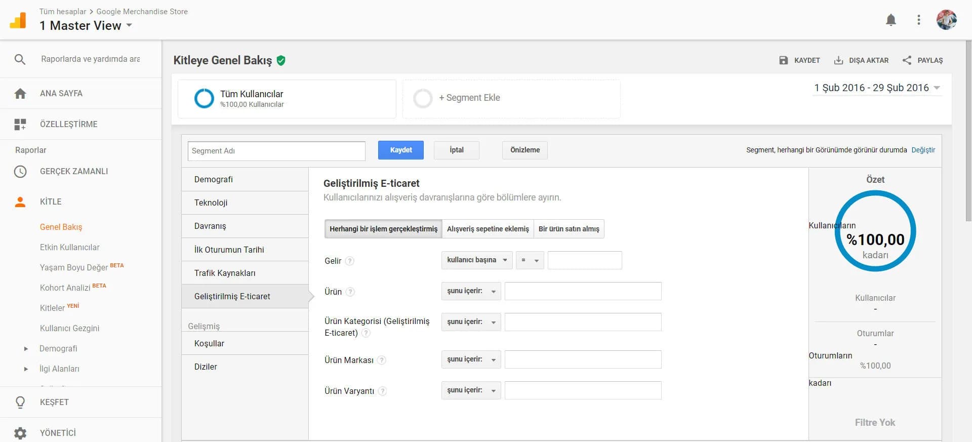 Google Analytics'de Segment Verileri ve Analizleri