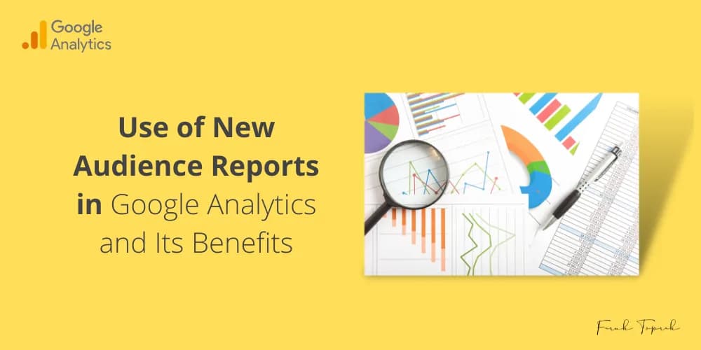 Use of New Audience Reports in Google Analytics and Its Benefits